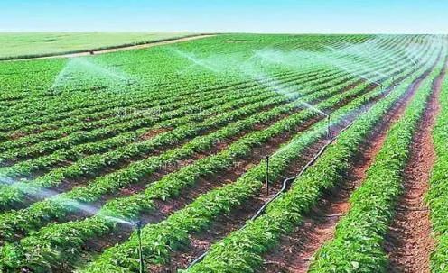 看小逼视频农田高 效节水灌溉